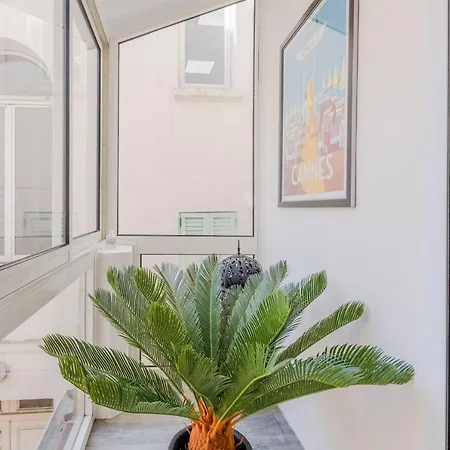 Heart Of 3-br Only 100m From The Palais Des Festivals Apartment